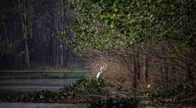 南京周末一日游免費(fèi)景點(diǎn)有哪些