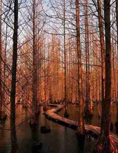 南京周末一日游免費(fèi)景點(diǎn)有哪些