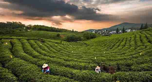 南京周末一日游免費(fèi)景點(diǎn)有哪些