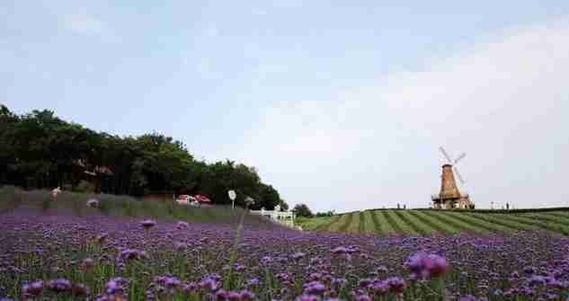 南京周末一日游免費(fèi)景點(diǎn)有哪些