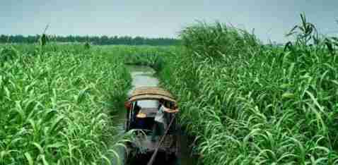 南京周末一日游免費(fèi)景點(diǎn)有哪些