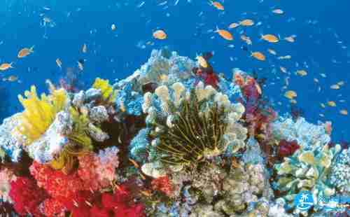 去大堡礁住哪里 大堡礁旅游住宿攻略 去大堡礁住哪里 大堡礁旅游住宿攻略