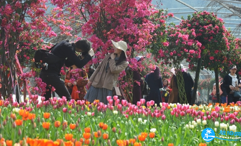 成都景點五一有哪些活動2018