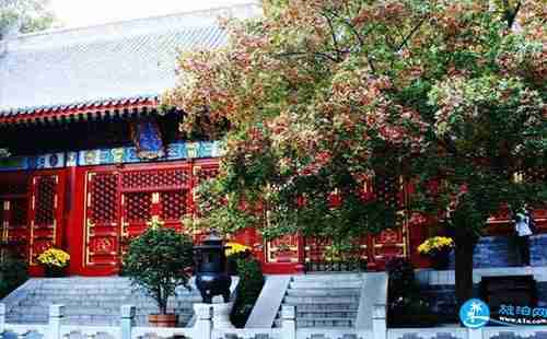 北京香山公园山花赏花路线2018+游玩攻略 北京香山公园山花赏花路线2018+游玩攻略