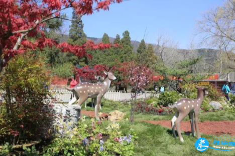 北京香山公园山花赏花路线2018+游玩攻略 北京香山公园山花赏花路线2018+游玩攻略