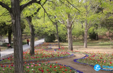 北京香山公园山花赏花路线2018+游玩攻略 北京香山公园山花赏花路线2018+游玩攻略