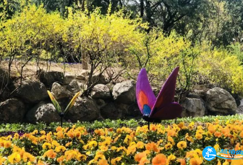 北京香山公园山花赏花路线2018+游玩攻略 北京香山公园山花赏花路线2018+游玩攻略