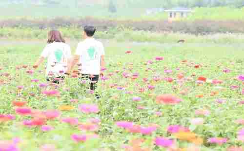 五一假期,去湖北宜昌賞花去哪里 攻略2018 五一假期,去湖北宜昌賞花去哪里 攻略2018