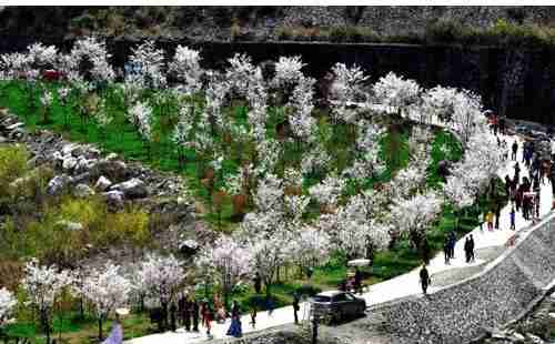 五一假期,去湖北宜昌賞花去哪里 攻略2018 五一假期,去湖北宜昌賞花去哪里 攻略2018