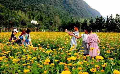 五一假期，去湖北宜昌賞花去哪里  攻略2018