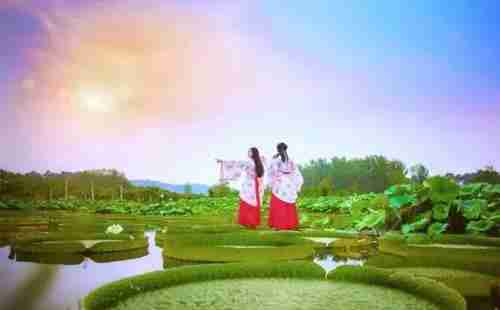 五一假期,去湖北宜昌賞花去哪里 攻略2018 五一假期,去湖北宜昌賞花去哪里 攻略2018