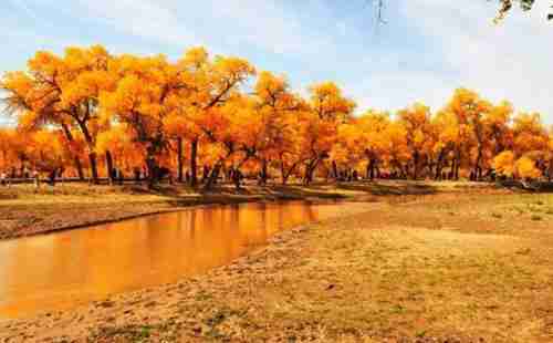 去內蒙古旅游去哪玩 內蒙古旅游景點介紹2018 去內蒙古旅游去哪玩 內蒙古旅游景點介紹2018