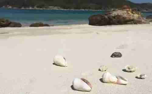 大亞灣旅游有哪些景點 景點旅游攻略 大亞灣旅游有哪些景點 景點旅游攻略