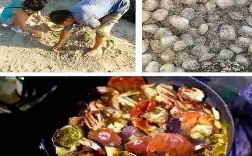 大亞灣旅游有哪些景點 景點旅游攻略 大亞灣旅游有哪些景點 景點旅游攻略