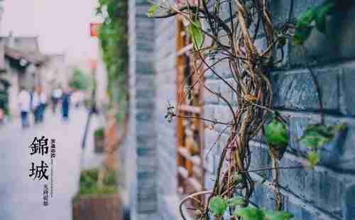 一個人旅行去哪好 景點有哪些