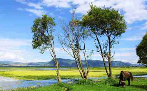 一個人旅行去哪好 景點有哪些
