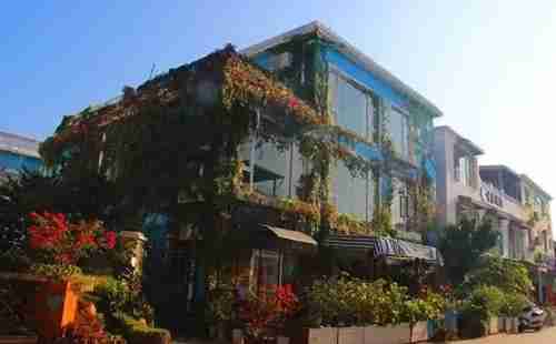 深圳海滩哪里好玩 深圳海滩景点大全+攻略