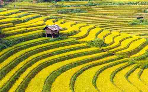 武汉周边梯田大全 武汉周边哪里有梯田景观 武汉周边梯田大全 武汉周边哪里有梯田景观