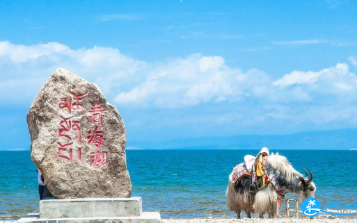 青海湖注意事项 环青海湖要带什么 青海湖注意事项 环青海湖要带什么
