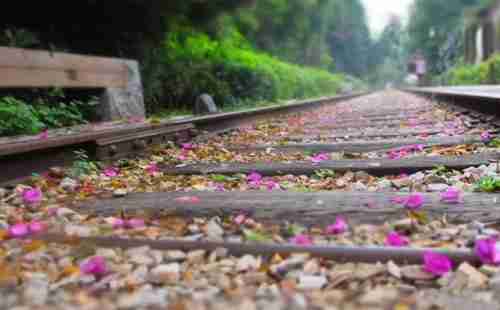 厦门海景地铁在哪里 沿线景点介绍