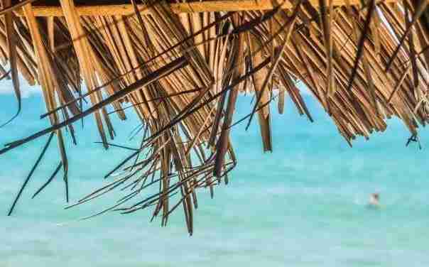 美国签证,具体可以免签去哪些国家? 美国签证,具体可以免签去哪些国家?