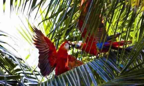 美国签证,具体可以免签去哪些国家? 美国签证,具体可以免签去哪些国家?