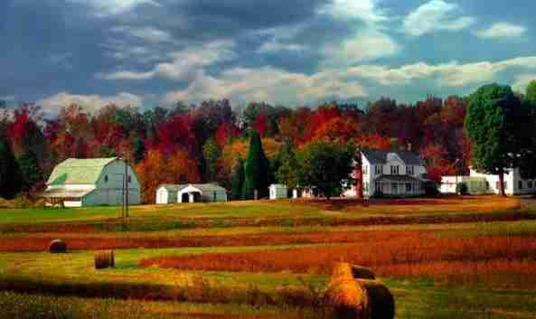 美国签证,具体可以免签去哪些国家? 美国签证,具体可以免签去哪些国家?