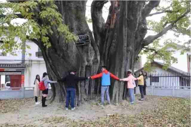 洱海旅游景点有哪些 景点介绍