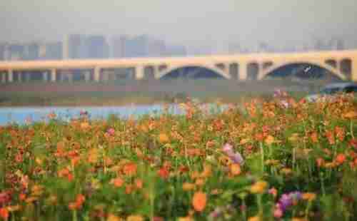 石家莊有哪些免費的景區(qū)？