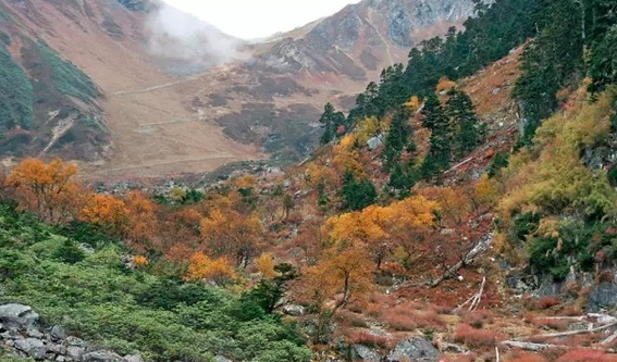 梅里雪山轉山路線 梅里雪山轉山攻略 梅里雪山轉山路線 梅里雪山轉山攻略