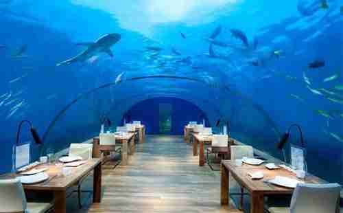 哪里有水下酒店+酒店介紹