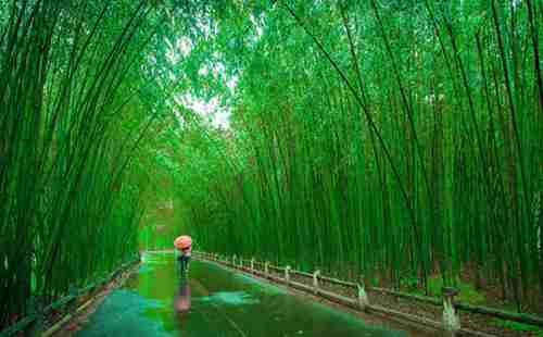 重渡溝門票多少錢2018+優惠政策 重渡溝門票多少錢2018+優惠政策