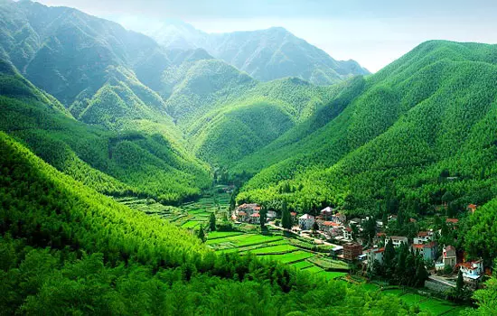 重慶周邊有哪些避暑的竹林景點 重慶周邊有哪些避暑的竹林景點