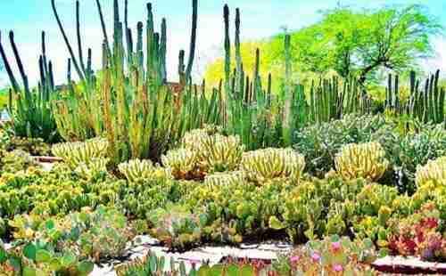 去美國西海岸線的最佳旅游線路怎么走？