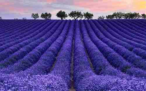 普羅旺斯旅游攻略2018