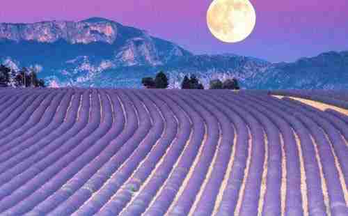 普羅旺斯旅游攻略2018 普羅旺斯旅游攻略2018