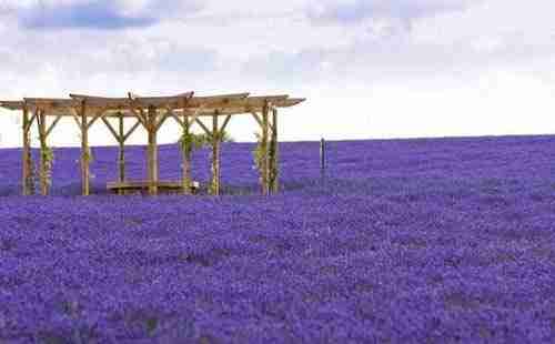 普羅旺斯旅游攻略2018 普羅旺斯旅游攻略2018