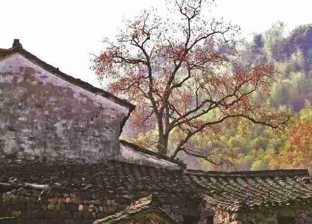 宁波最佳旅游景点路线攻略 宁波最佳旅游景点路线攻略