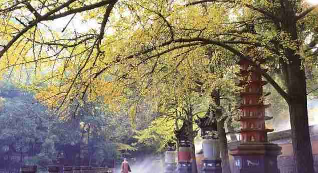 宁波最佳旅游景点路线攻略 宁波最佳旅游景点路线攻略