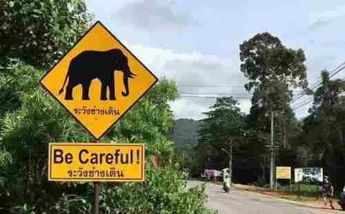 中餐厅在泰国哪里拍的 景点游玩攻略 中餐厅在泰国哪里拍的 景点游玩攻略