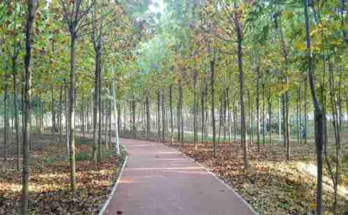 郑州有哪些公园好玩