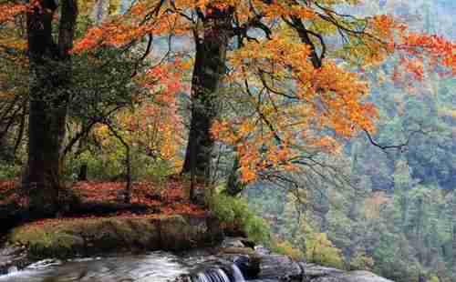 昭通旅游景点大全+美食介绍2018 昭通旅游景点大全+美食介绍2018