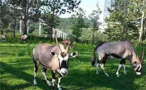 大连旅游景点大全2018