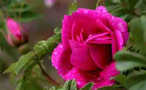 北京適合帶媽媽一起游玩的地方有哪些