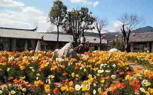 麗江哪里可以燒烤