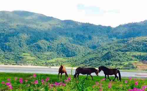 麗江哪里可以燒烤