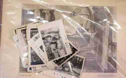 中國(guó)最美的書店有哪些