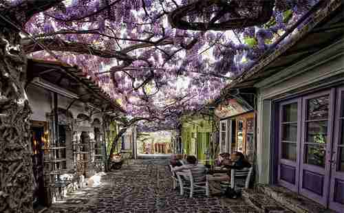 世界上最美的街道有哪些 世界上最美的街道有哪些