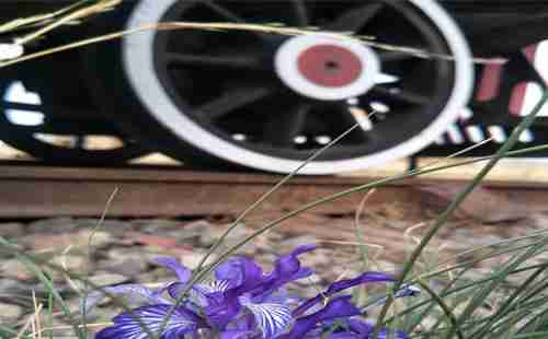 滿洲里旅游必去的景點有哪些 滿洲里旅游必去的景點有哪些