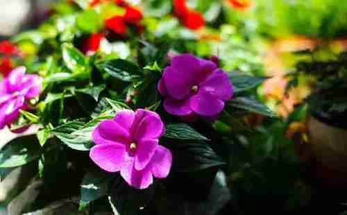 青島最美地鐵景點大全2018